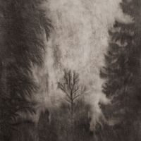 "Bäume im Winter", Kaltnadelradierung, Druck auf Sumi-e-Papier, 26,8 x 20,3 cm