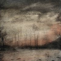 "Bäume im Wind", Kaltnadelradierung, Druck auf Büttenpapier, koloriert, 48,5 x 32,2 cm, 2023
