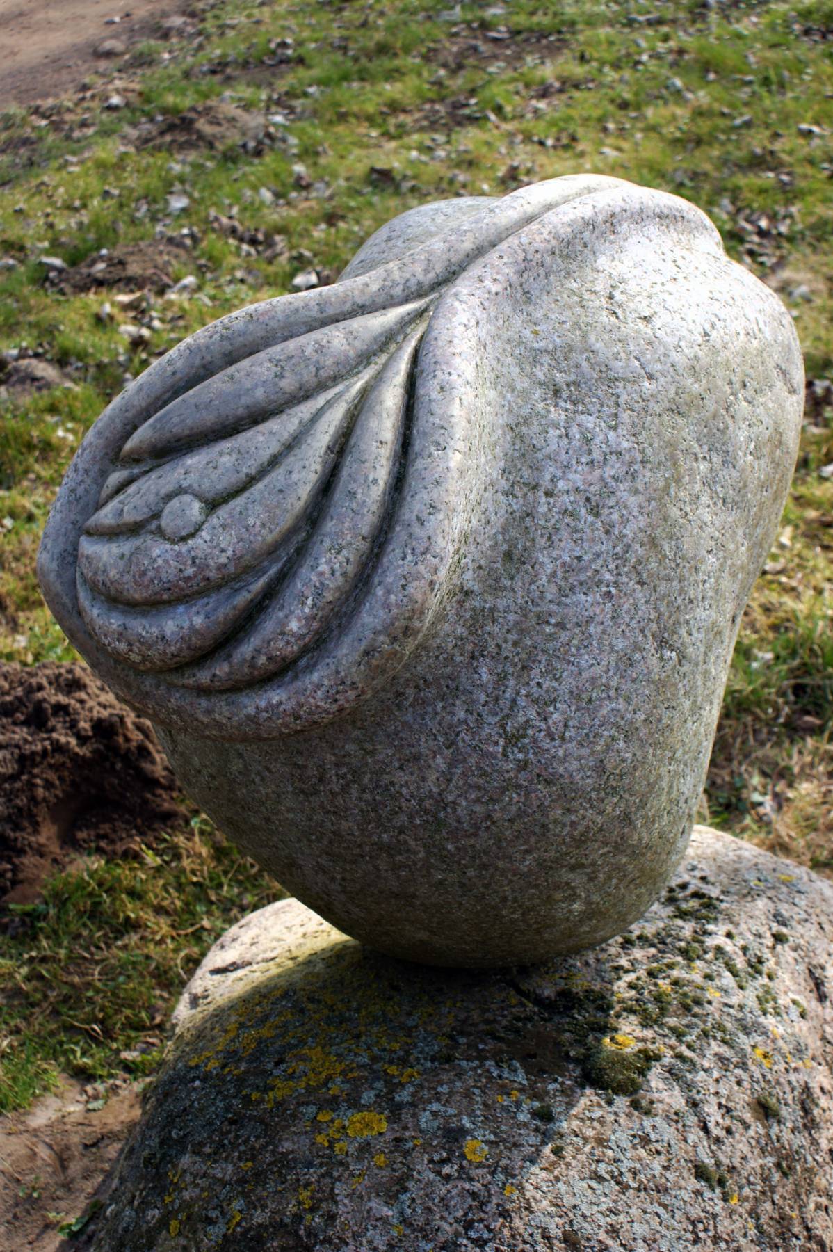 2005-Keimling-2005-Granit.jpg